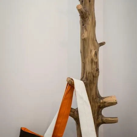 Ageri Apartamento Potos